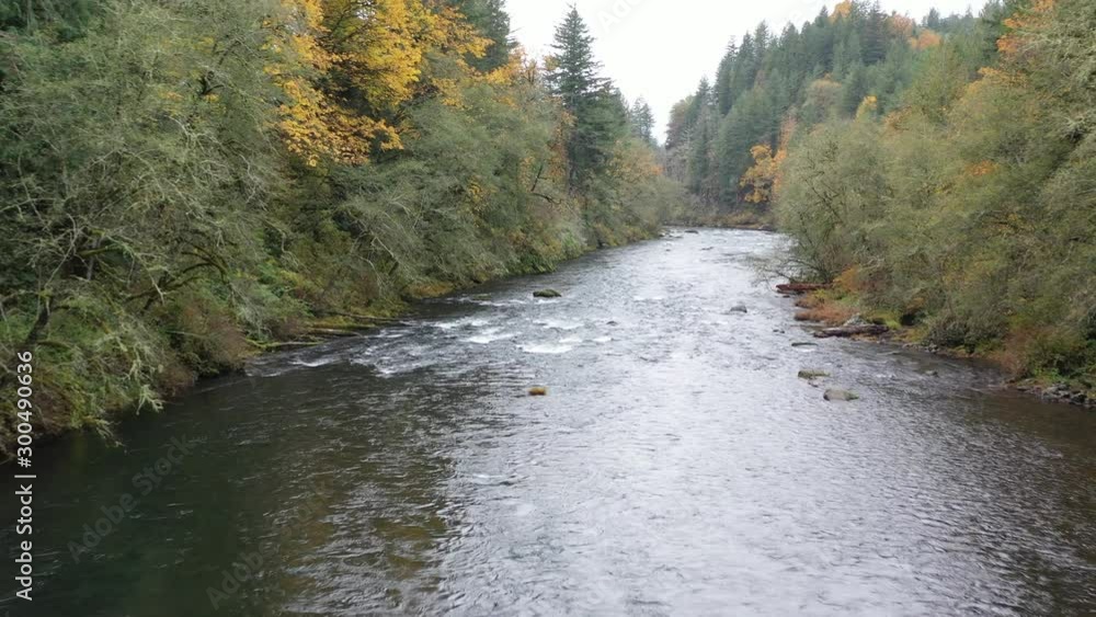 Aerial 4K river in pacific northwest wilderness on cloudy day. Drone shot flying down river. Aerial 4K river in pacific northwest wilderness on cloudy day. Drone shot flying down river.