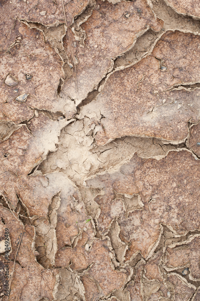 texture of dried cracked ground texture of dried cracked ground