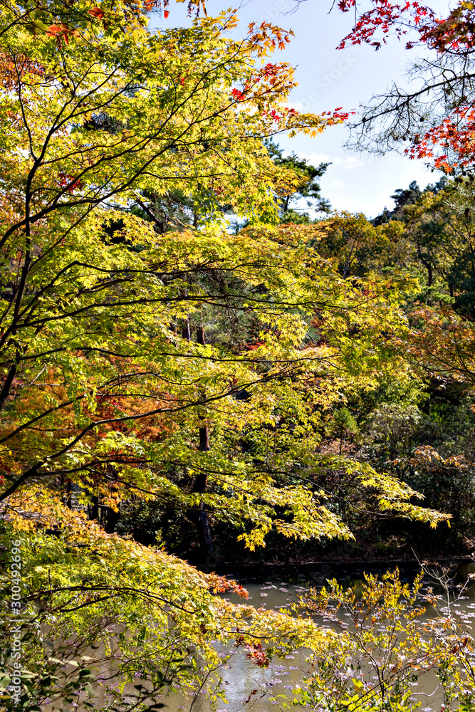 View of forest park in Kobe in early autumn View of forest park in Kobe in early autumn
