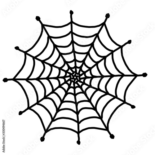 spider on web