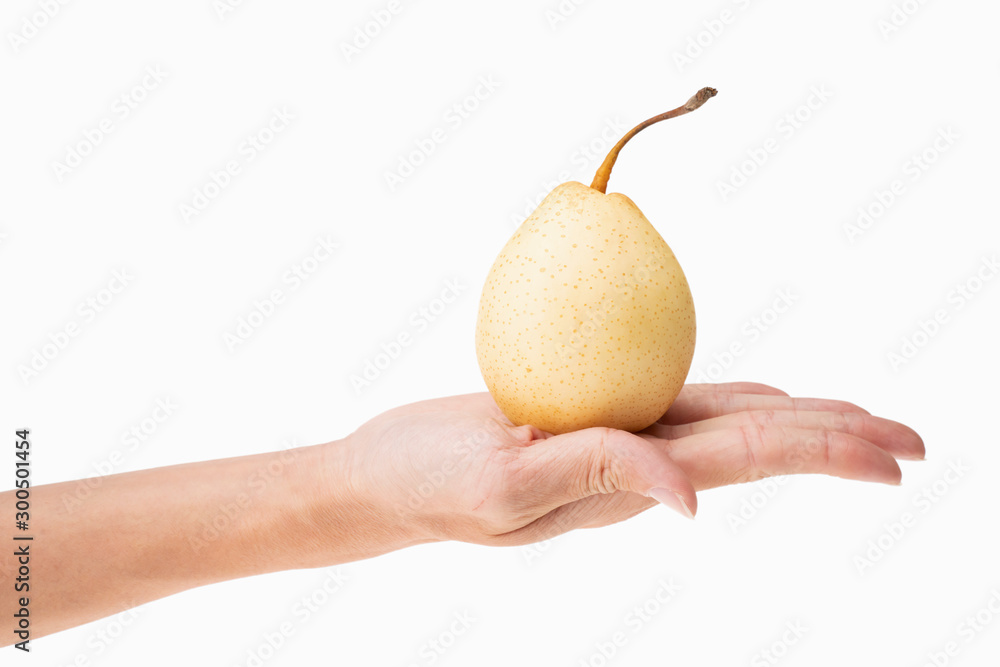 closeup of holding one fresh pear in hand with white background closeup of holding one fresh pear in hand with white background