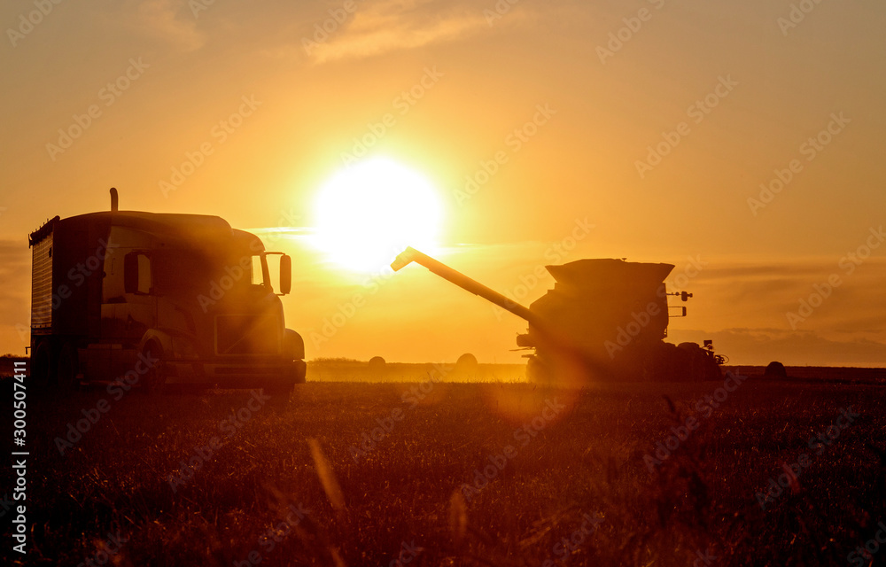 Fototapeta premium Harvest Sunset Canada