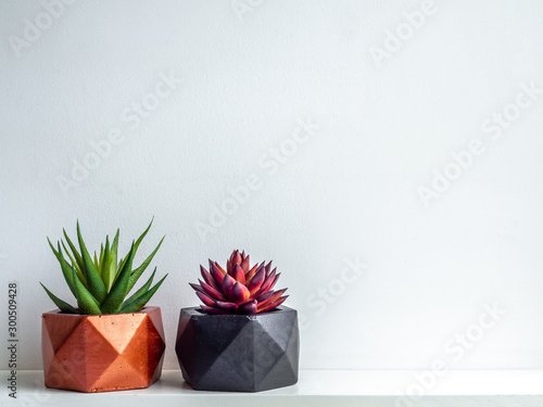 Modern painted geometric concrete planters. Beautiful painted concrete pots.