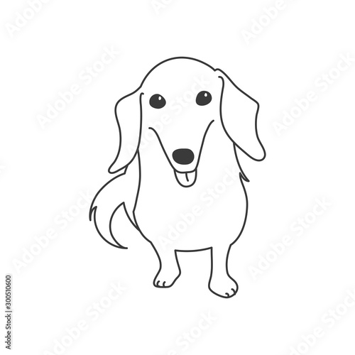 犬　ポーズ　表情　１匹　ミニチュアダックスフンド　おすわり
