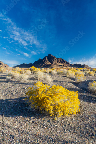 Color in the Bonneville Salt Flats