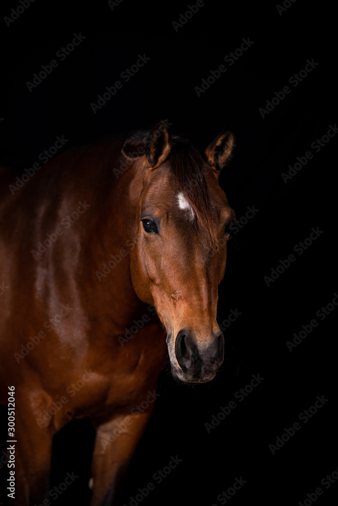 Obraz premium Jordan