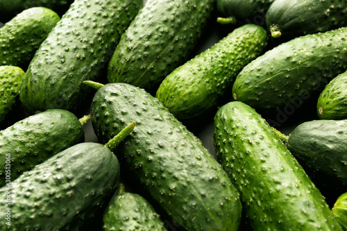 Fresh green cucumbers as background