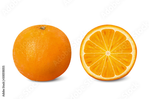 Delicious citrus illustration
