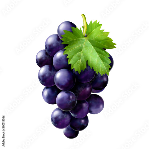 Delicious ripe grapes