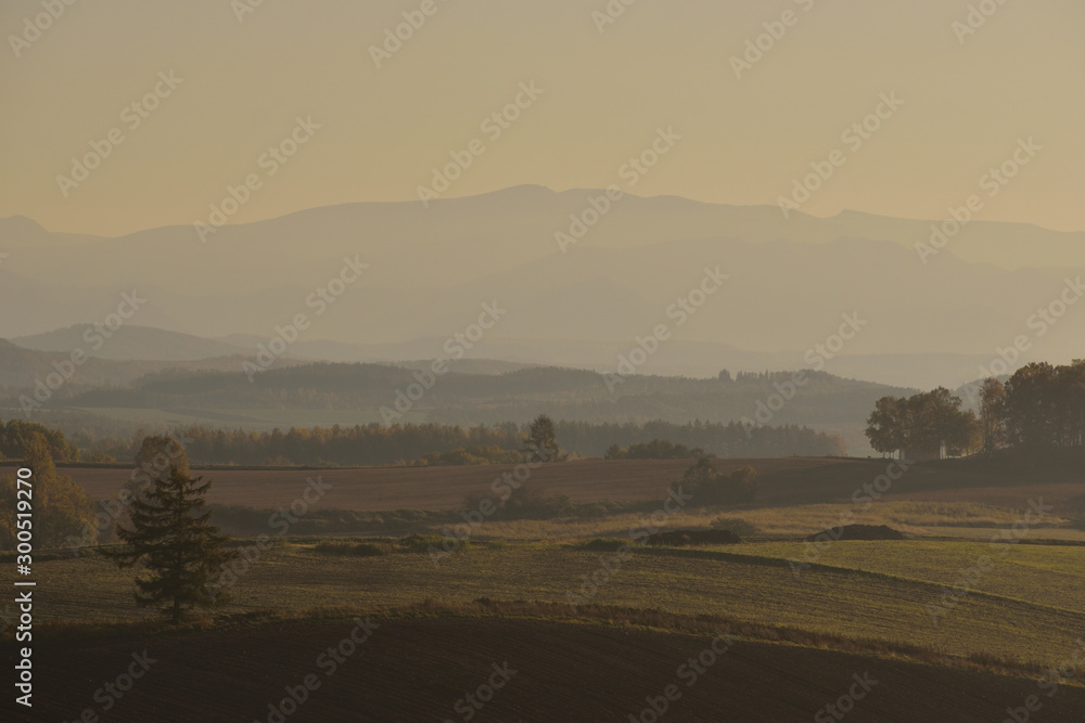 Obraz premium 美瑛 秋の丘