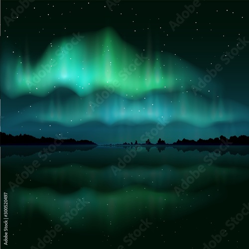 Northern lights, aurora borealis, vector realistic illustration