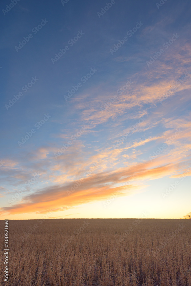 sunset over wheat field sunset over wheat field