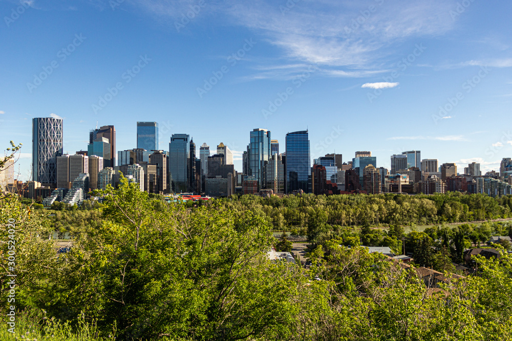 Calgary city on sunny day