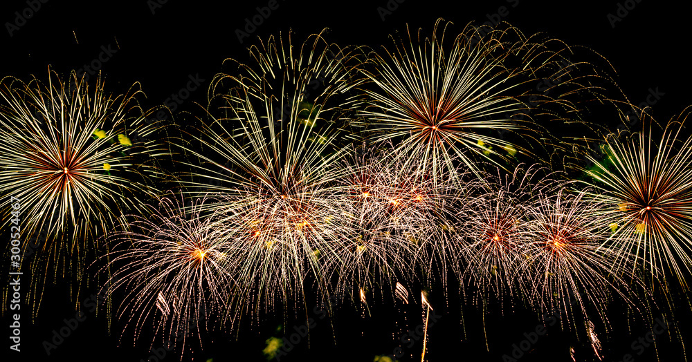 fireworks in the night sky for background 