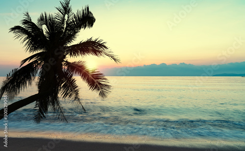 lato morze z palmą o zachodzie słońca i kopiować miejsca, koncepcja relaks niebo, piękne tropikalne tło dla krajobrazu podróży