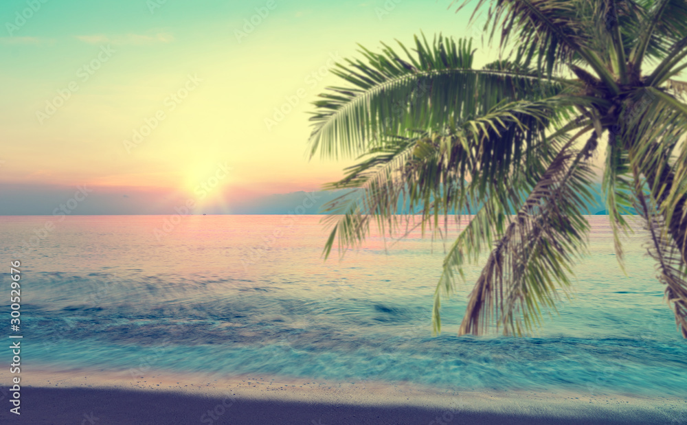 summer sea with palm tree at sunset and copy space,sky relaxing concept,beautiful tropical background for travel landscape