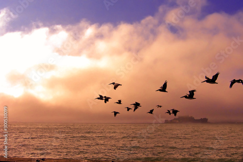 Birds flying toward sunset. Beautiful island in the background.