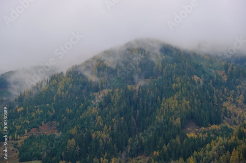 Autumn mountains in the fog landscape. Green and yellow trees pattern in the fog. Mountain nature background.