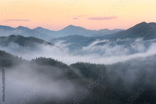 Morning Fog © Tao Wu