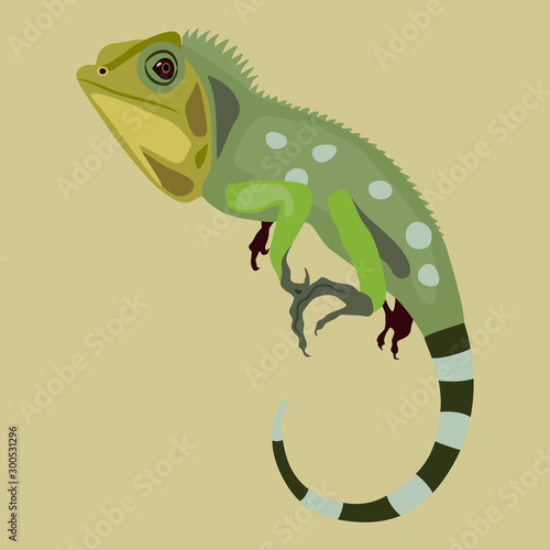 Green iguana lizard. Isolated vector illustration. Flat cartoon style.