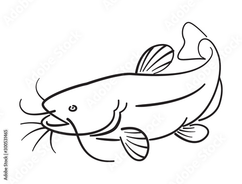 Graphic catfhish on white background, vector
