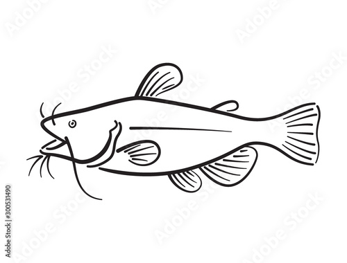 Graphic catfhish on white background, vector