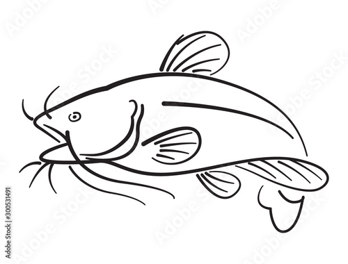 Graphic catfhish on white background, vector