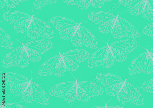 seamless pattern with butterfly