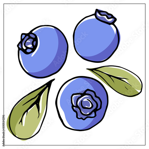 Vector illustration with blueberries on a white background.
