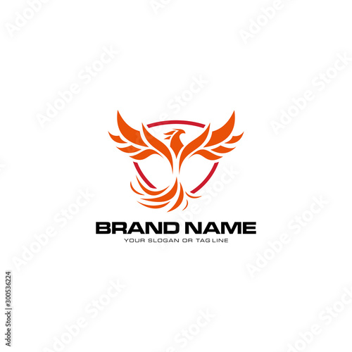 Free Download logo design phoenix vector template white background - GFXLoad