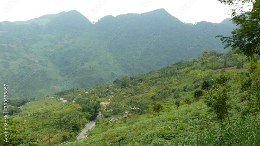 Fototapeta premium Vietnam, Rice fields, agriculture, village