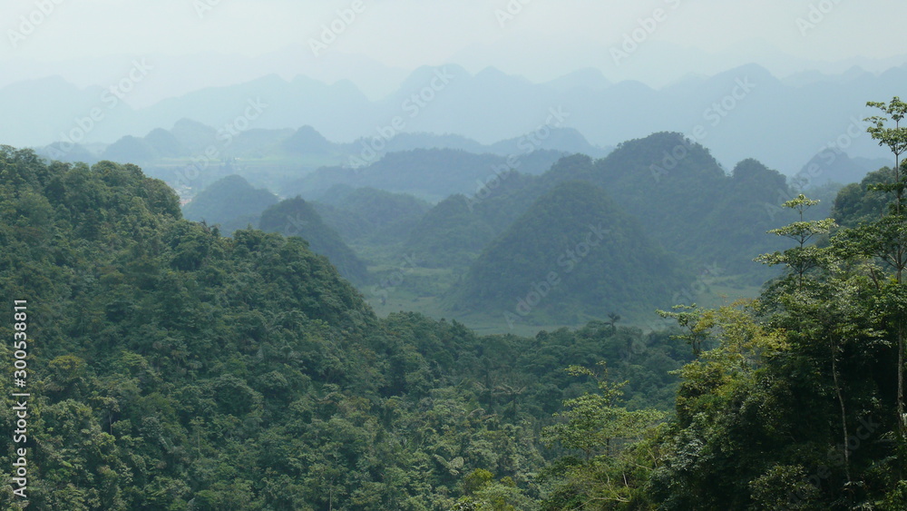 Vietnam, Rice fields, agriculture, village Vietnam, Rice fields, agriculture, village