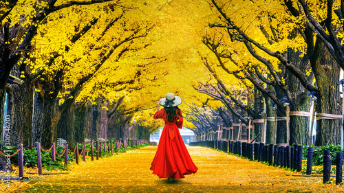 Photography Beautiful girl walking at row of yellow ginkgo tree in autumn