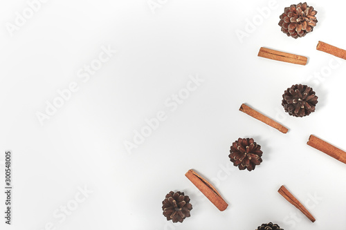 Winter composion made of cones and cinnamon sticks on a white background. Copy space. photo