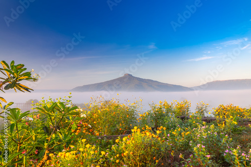 landscape for relaxing in Phu Luang, Loei Province thailand