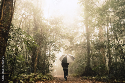 a men walking foggy rain forest with umbrella Australia Queensland Lamington national park mist misty weather