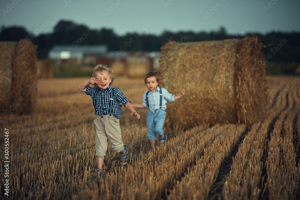 Naklejka premium Two adorable boys having fun in the countryside