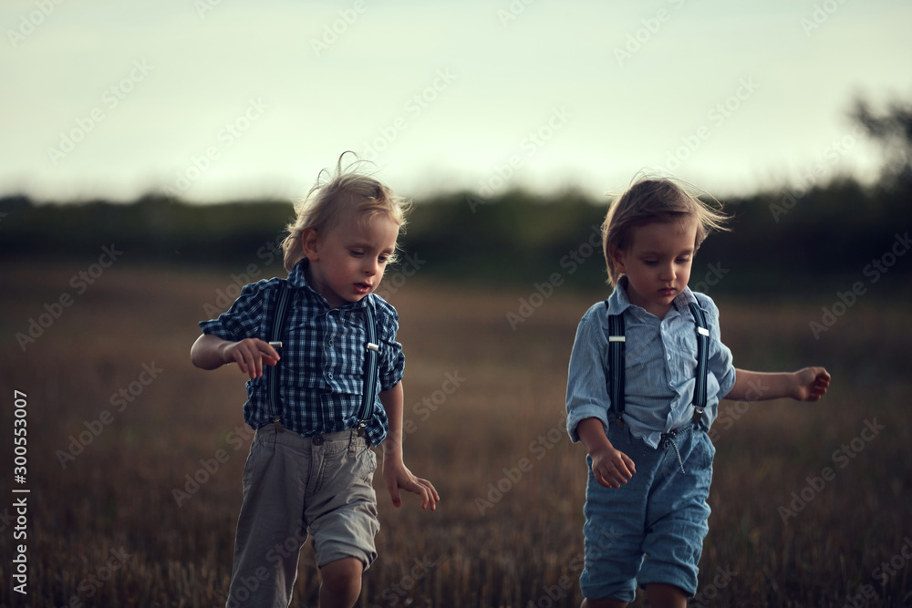Fototapeta premium Two adorable brothers having fun in the countryside