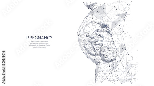 Closeup of an abstract pregnant woman with embryo in her maw side view. Isolated pregnancy medical concept on white. Vector low poly wireframe illustrations with connected dots, and triangle shapes. photo