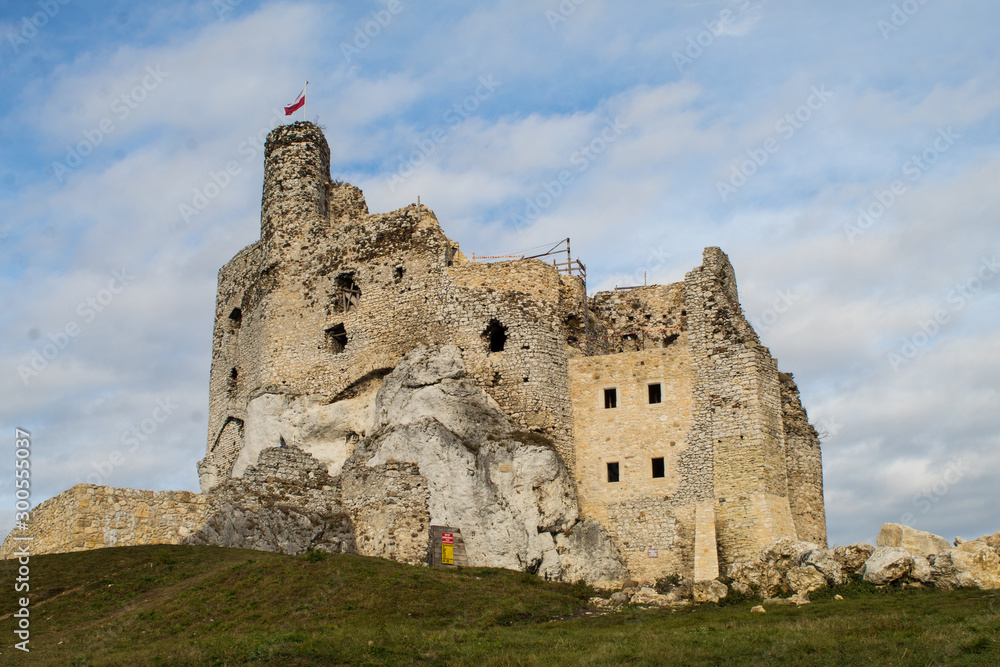 The ruins of a medieval European castle against the backdrop of a rocky ridge, blue sky, coniferous forest and green meadows. The ruins of a medieval European castle against the backdrop of a rocky ridge, blue sky, coniferous forest and green meadows.