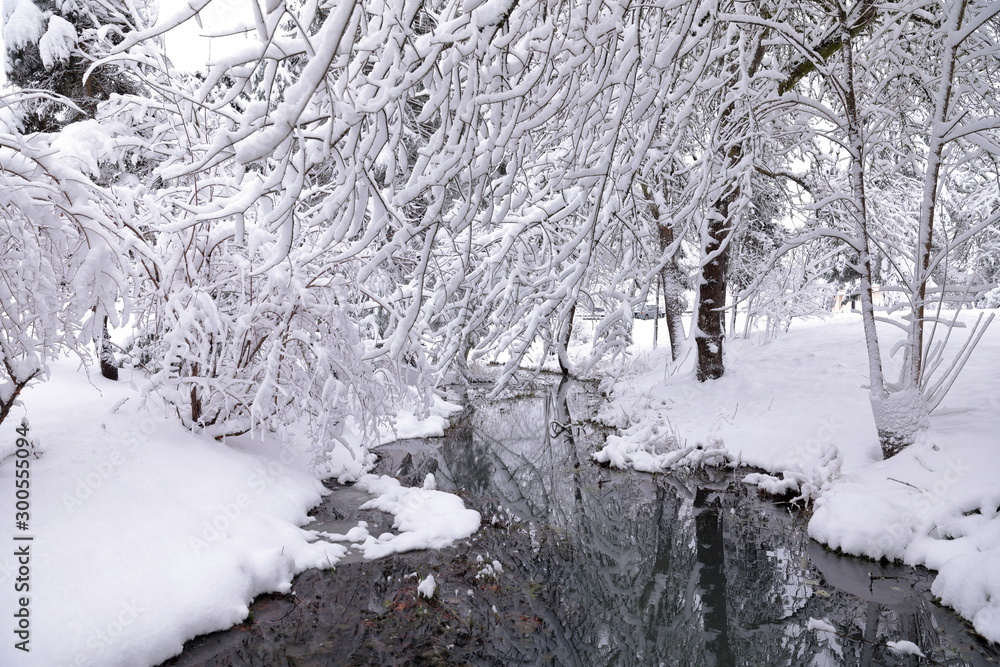 A view at a small creek in Hillsboro park, Oregon after a massive snowfall. Ground and trees covered in a thick layer of snow. Oregon winter