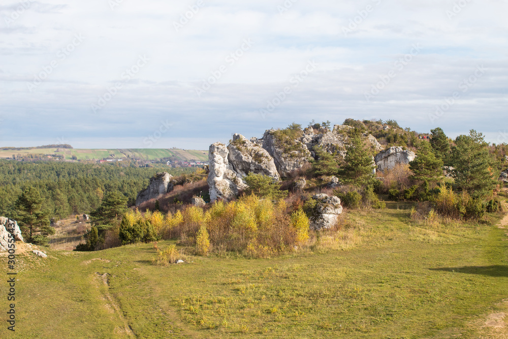 Landscape of limestone cliffs of the Krakow-Czestochowa Upland. Cliffs in Mirow in sunny weather.