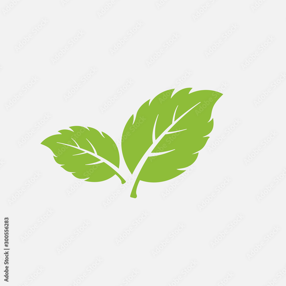 mint leaf element vector icon. green mint leaves vector symbol - obrazy, fototapety, plakaty 