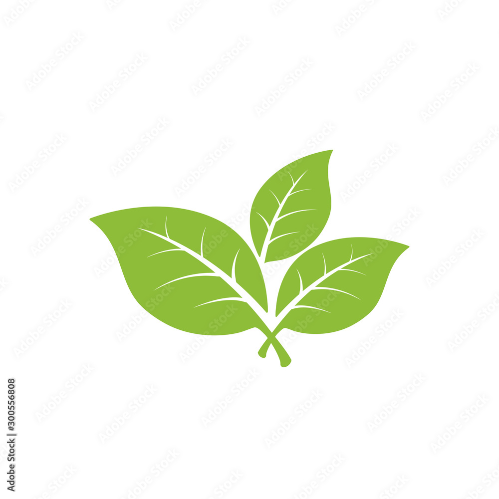 Fototapeta premium nature green leaf element vector icon. green leaves vector symbol