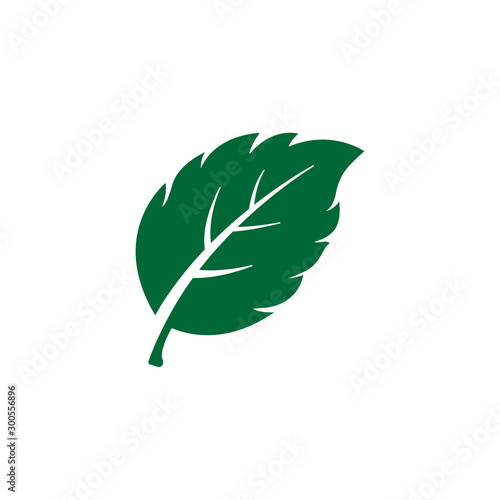 mint leaf element vector icon. green mint leaves vector symbol