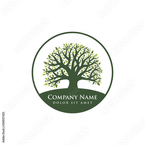 Root of the tree logo design illustration. Abstract vibrant tree logo design. oak tree vector illustration