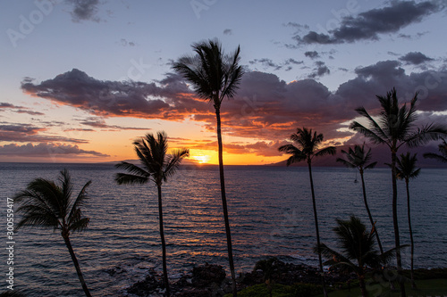 Scenic sunset from a roof of a building at Kamaoke II beach, Kihei, Maui, Hawaii. A colorful sunset of yellow and orange colors with tall palm trees and clouds