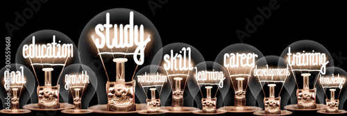Light Bulbs with Study and Training Concept