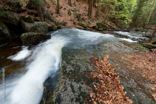 Jeleni Falls in super green forest surroundings  Czech Republic