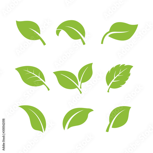 set of green leaves element vector icon. green leaf vector symbol illustration